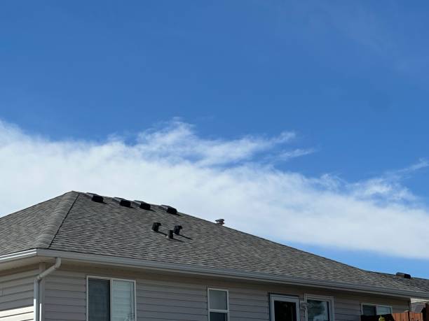 Best Metal Roofing Installation  in USA